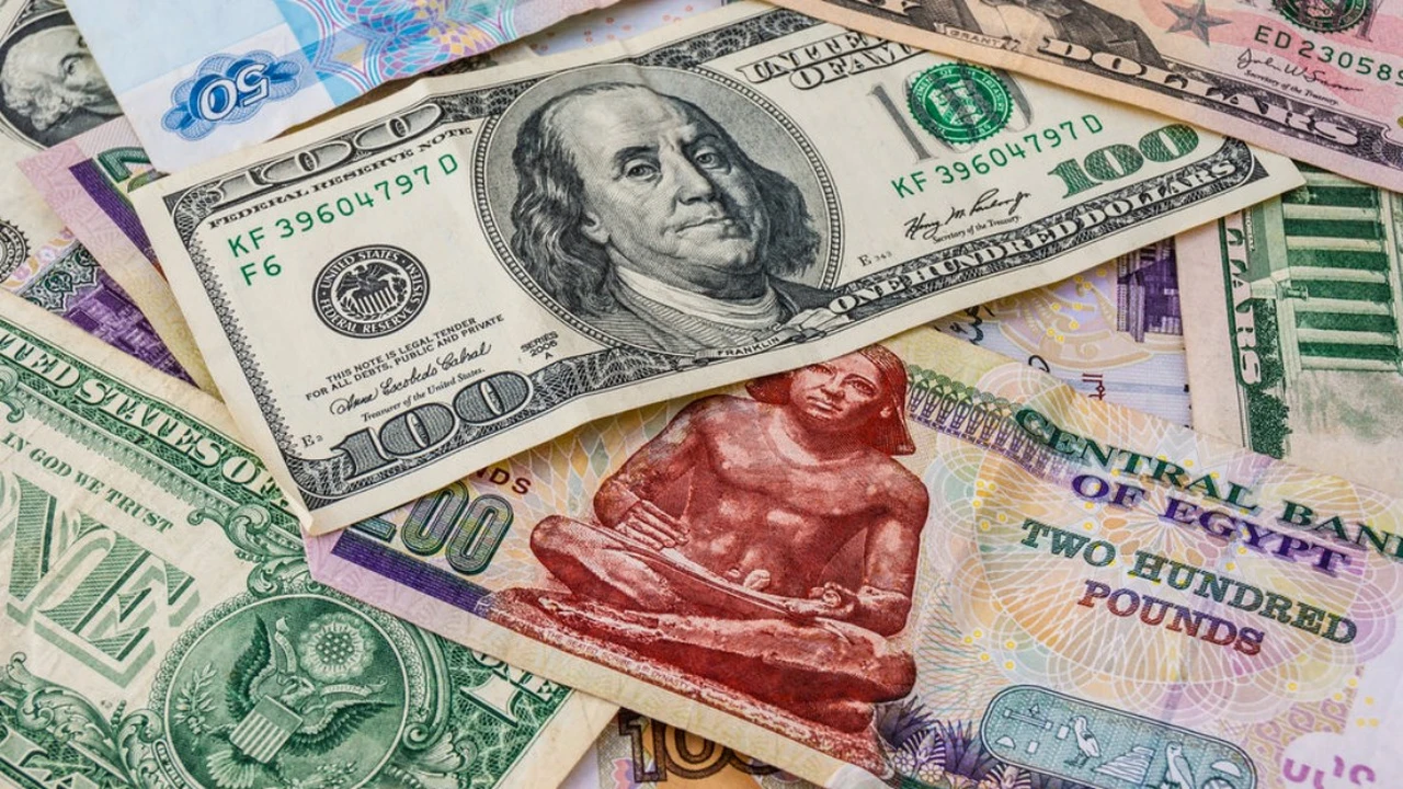 استقرار سعر الدولار عند 51.39 جنيه في ختام تعاملات اليوم